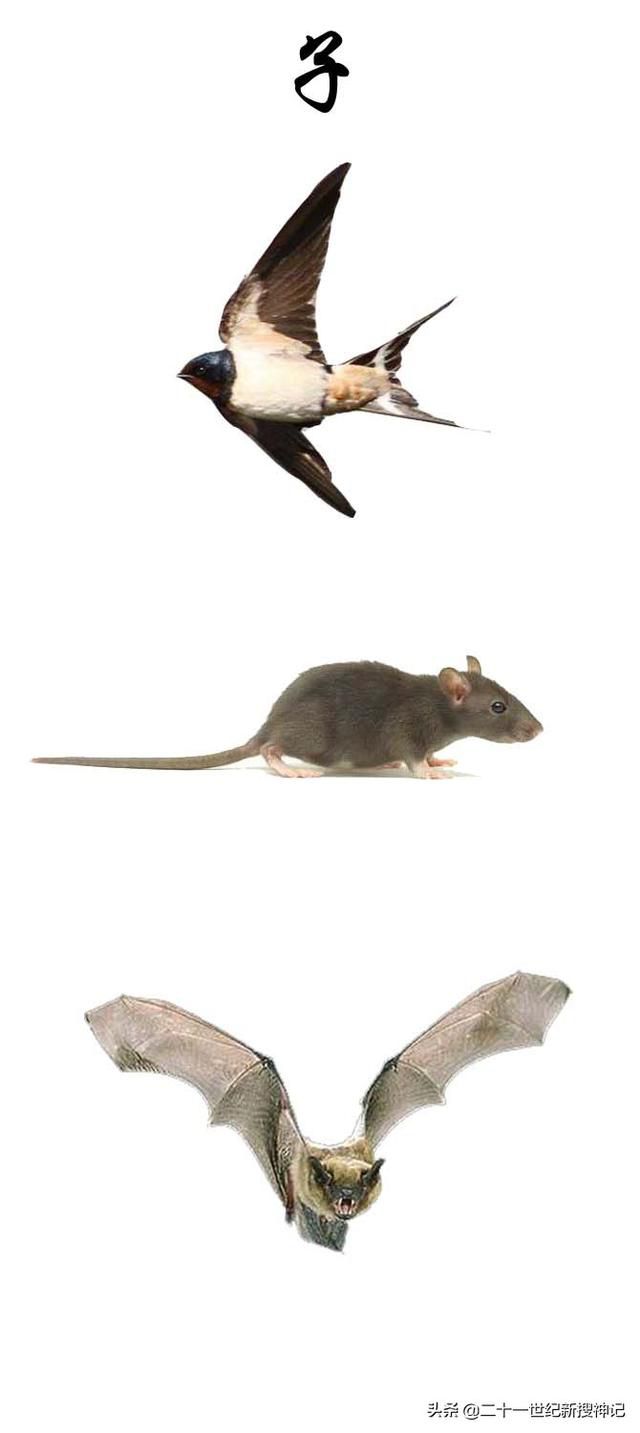 f1fc5b9fff9b48c1b1c1bd6d702846b3742609