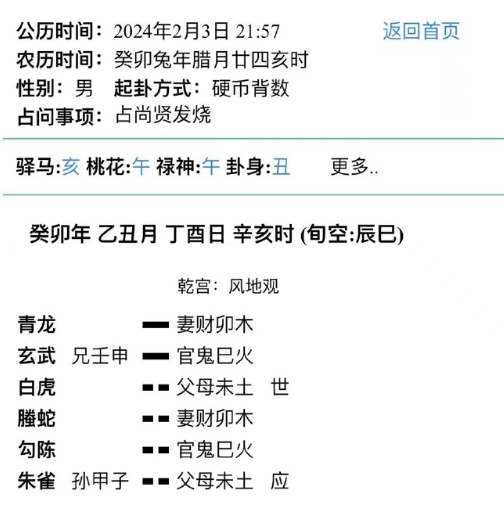 image 9.png王虎应六爻孩子低烧高烧两天，化解半小时后，出汗退烧了