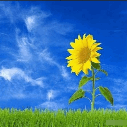 51e32319eb5ff87babbfc91fda88ee99