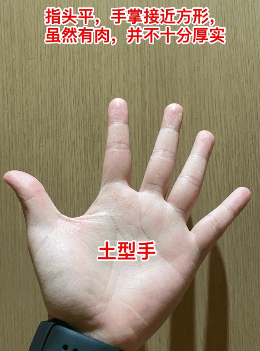 8651b420ecb6df3379f167128fe8116e