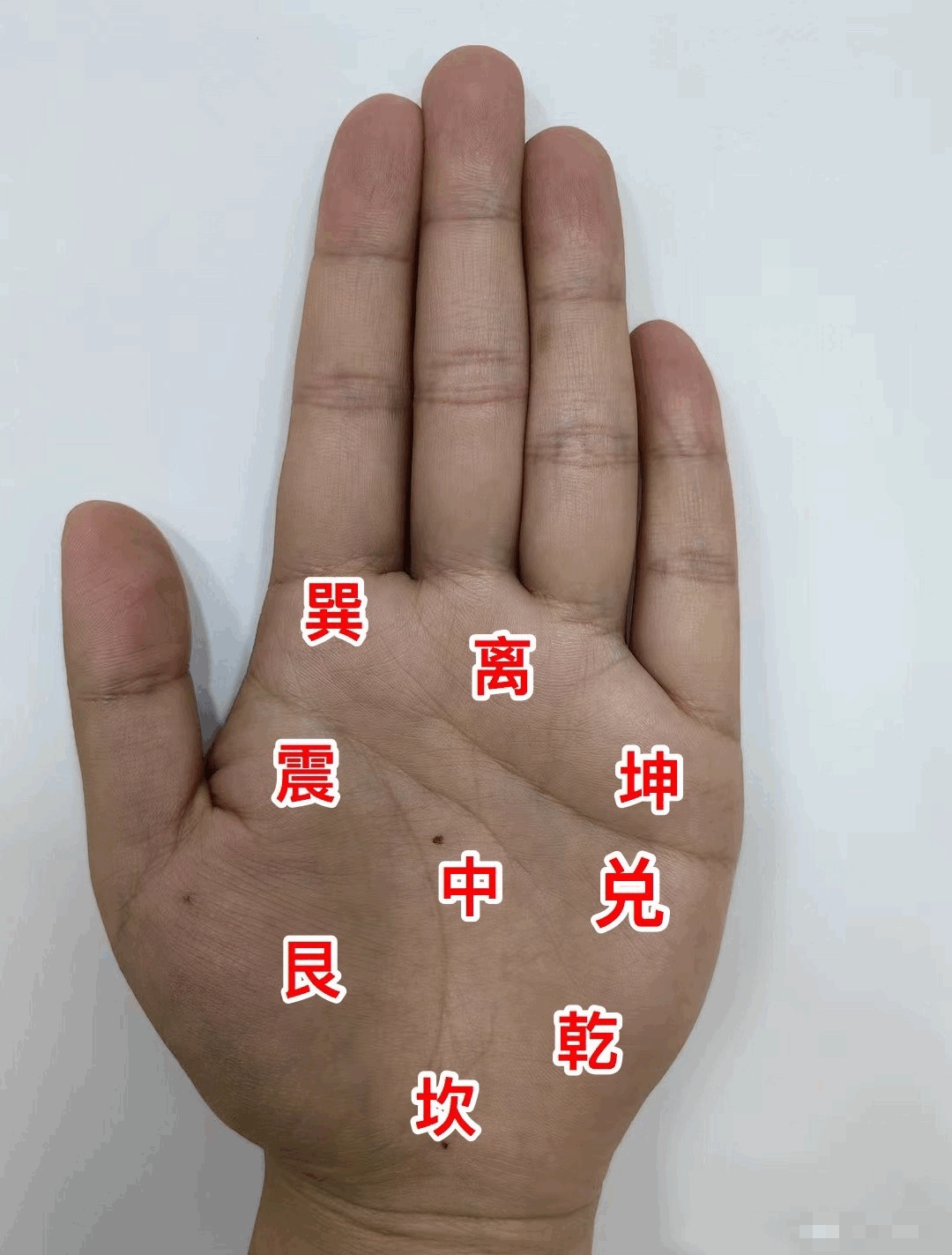 a0c8e1ba2ebb97d52080f64092f13edf