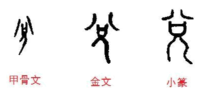 209513412ca19d32270e53e520d5ced1