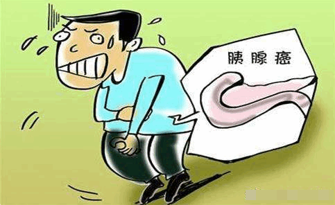 85b5643ff653adfd8b63dd9f1807f92b