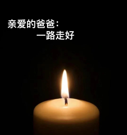 c743725a8ddca054c53d023c70bd2569