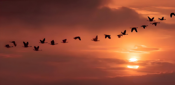 6250a256b056a7537c18161dbecc6d9a