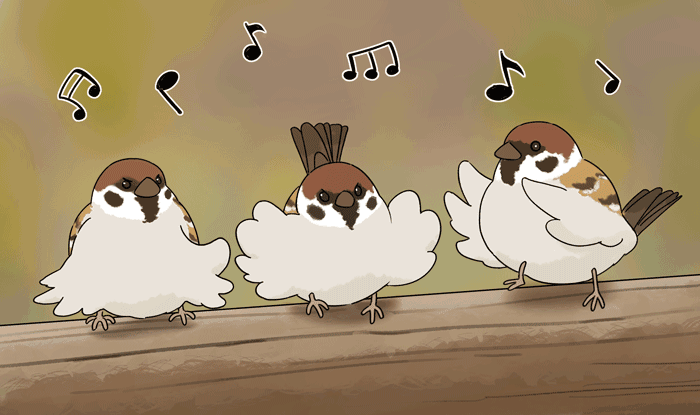 易经应用饭时来电的外应